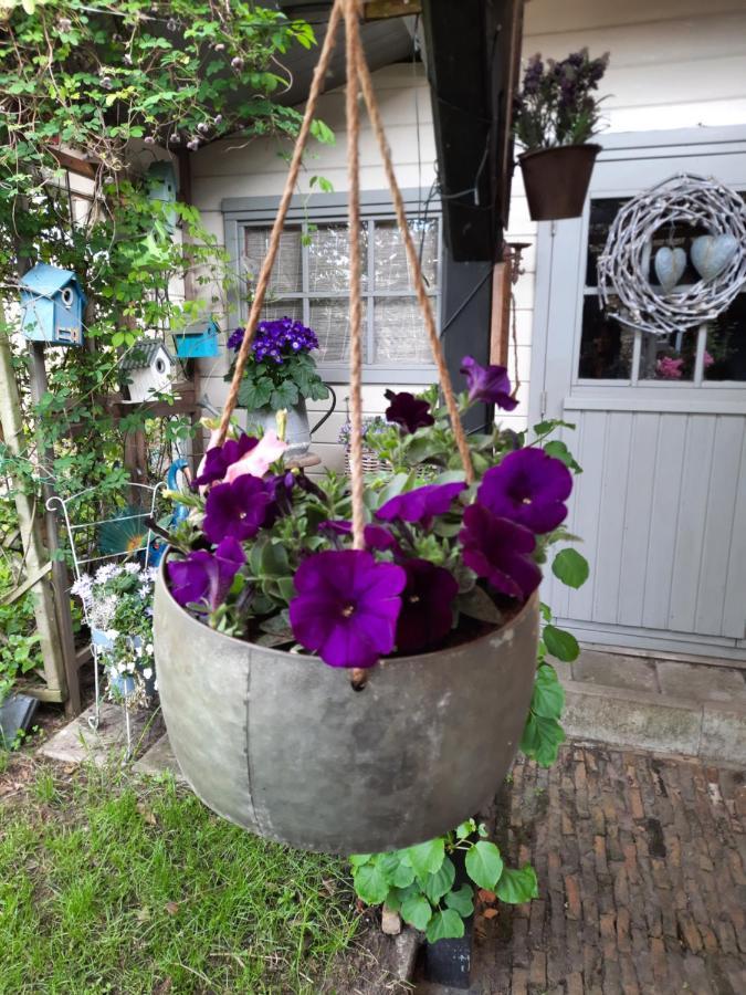 Anneke'S Bed En Botterhammeke Apartment Woensdrecht Bagian luar foto